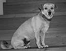 Unsere Lotte !